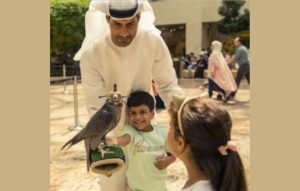 Falcon Show Hire